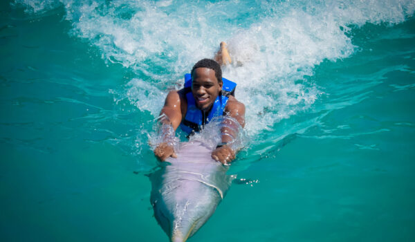 places to swim with dolphins in punta cana