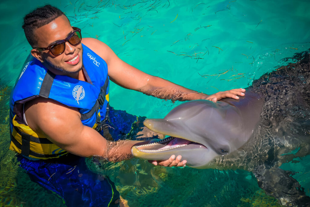 man swimming with dolphins in punta cana