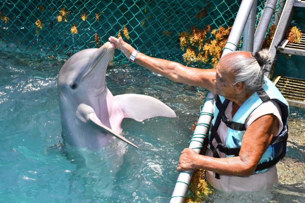 Girl with a dolphin in Punta Cana