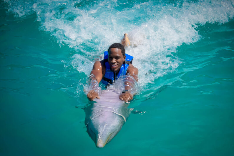 nado con delfines en punta cana