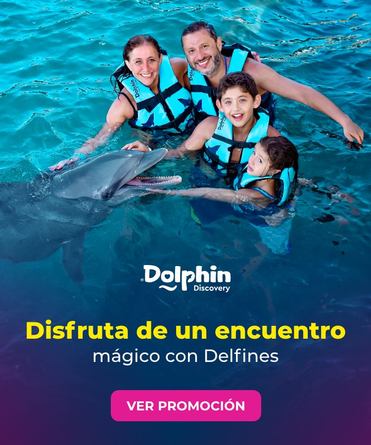 dolphin-discovery-esp